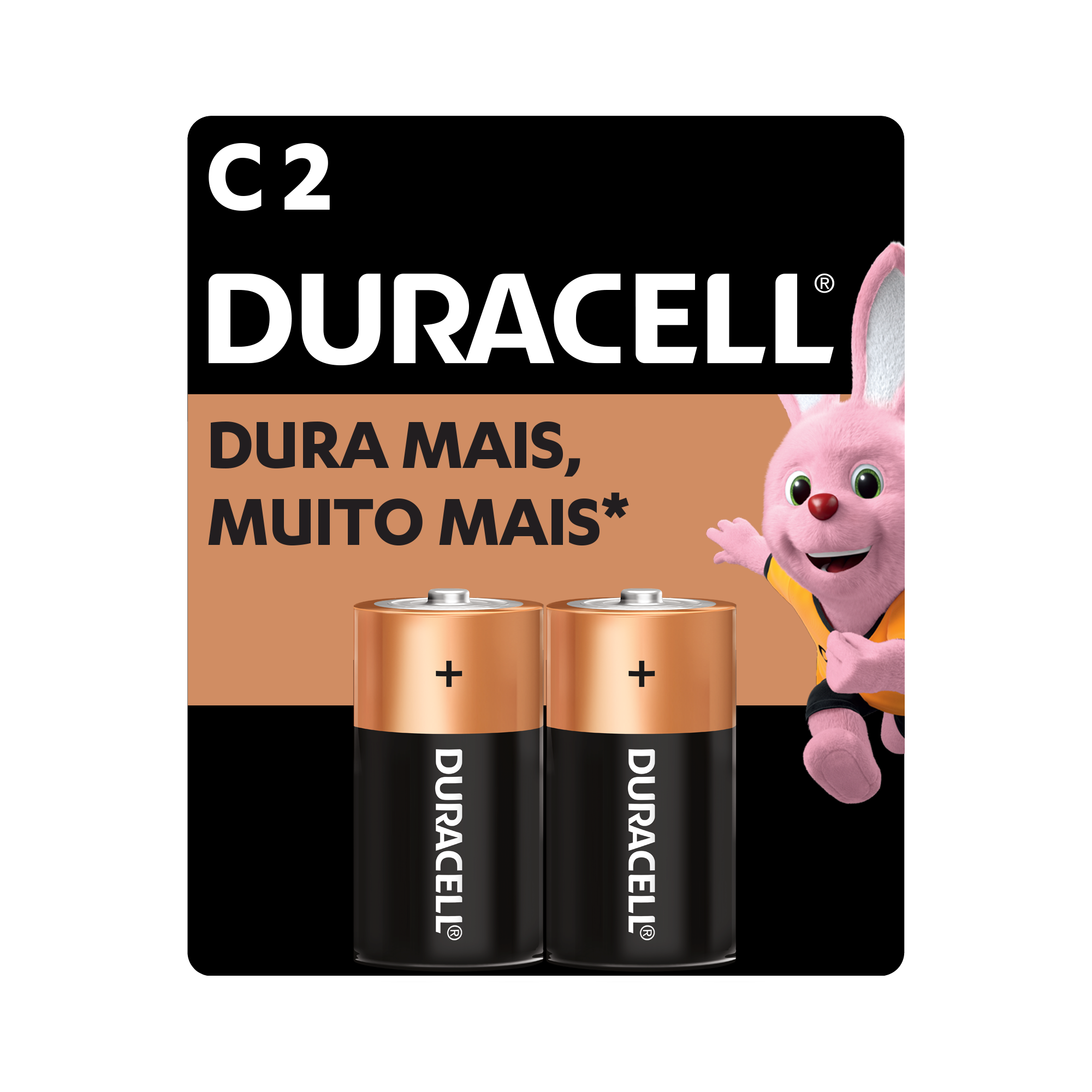 PILHA DURACELL ALCALINA C COM 2UN MEDIA