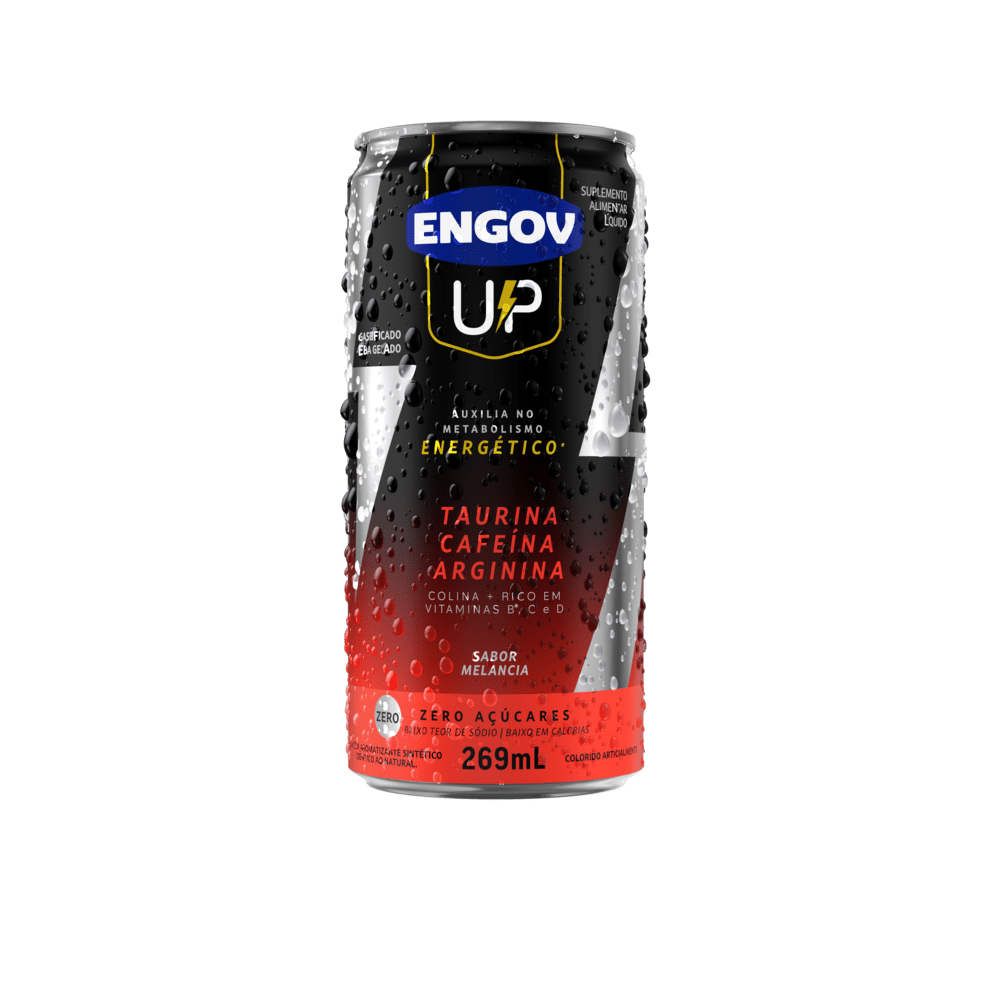 ENGOV UP 269ML MELANCIA
